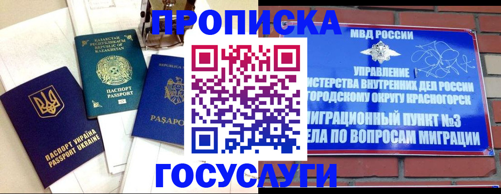 купить прописку в Ковдоре